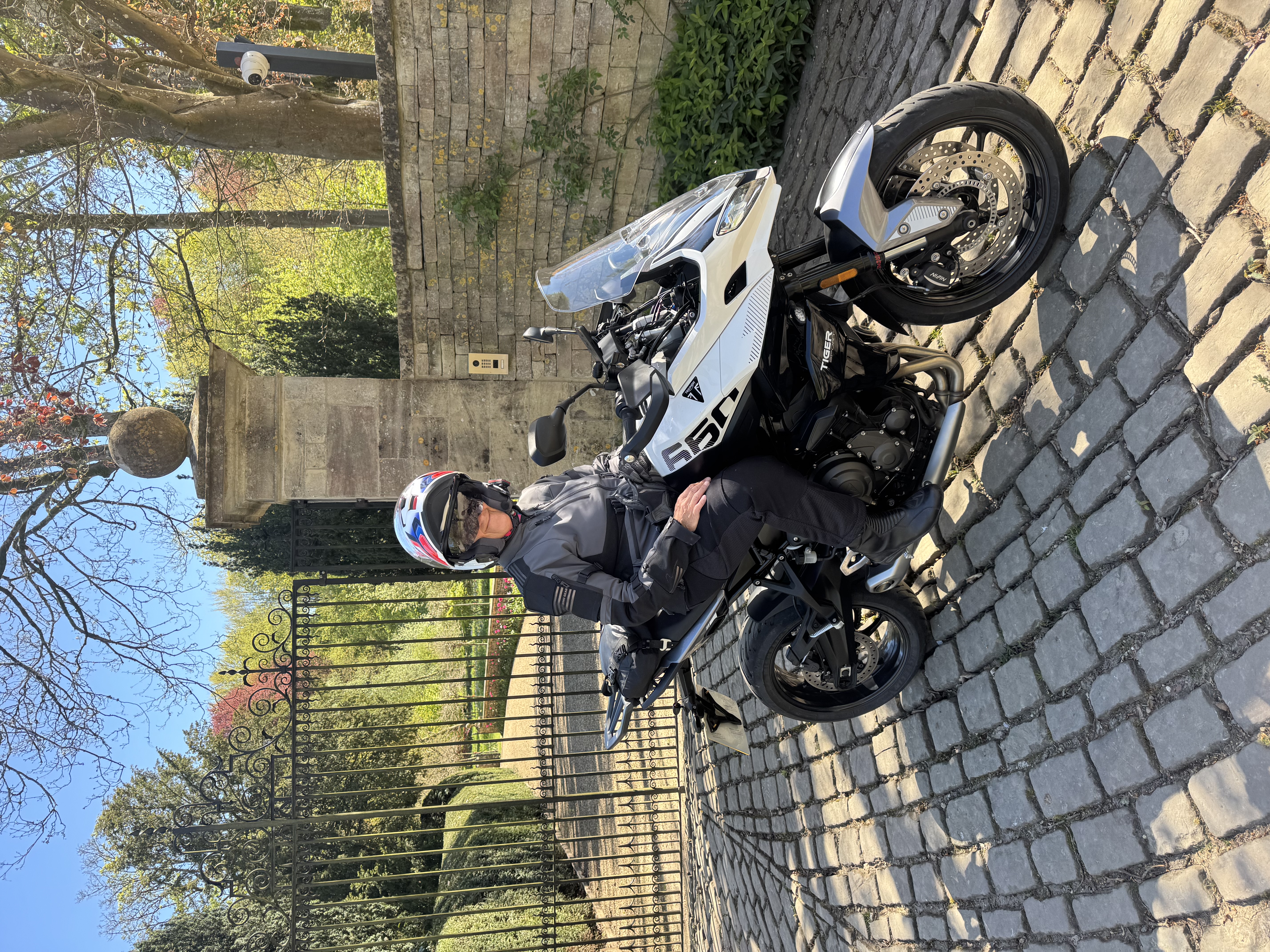 image21.jpeg